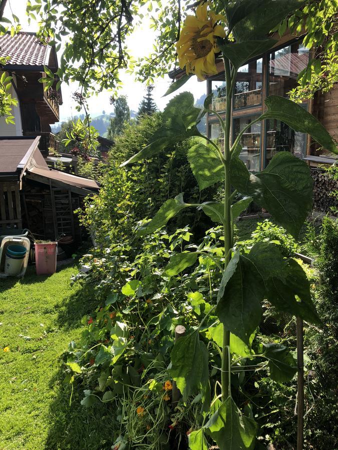 Gaestehaus Lackner Oberau Dış mekan fotoğraf